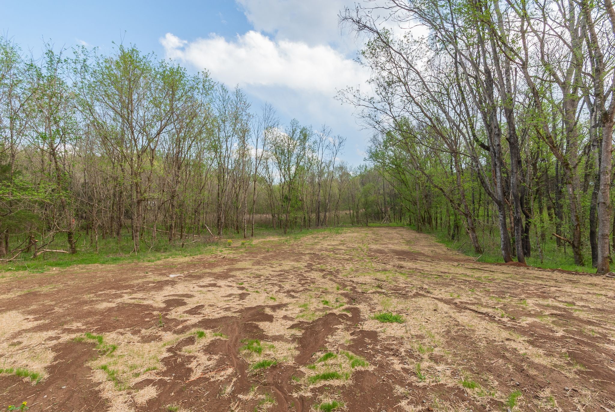 4427 Moore Lane