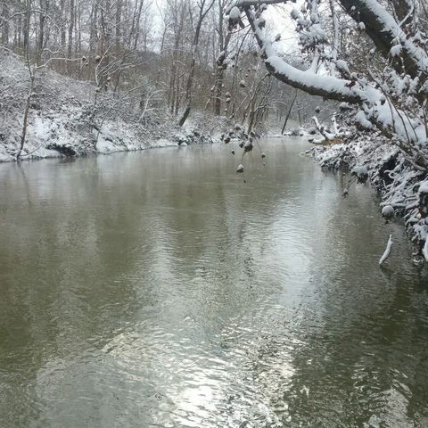 1440 McCLARDY ROAD Clarksville TN 37042