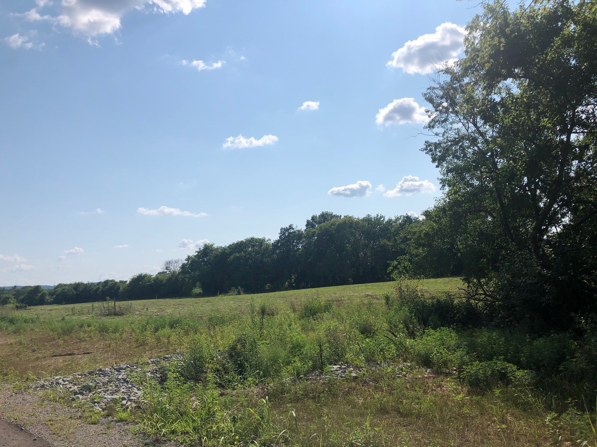 listing at 7013 Belcastle Ln College Grove, College-Grove