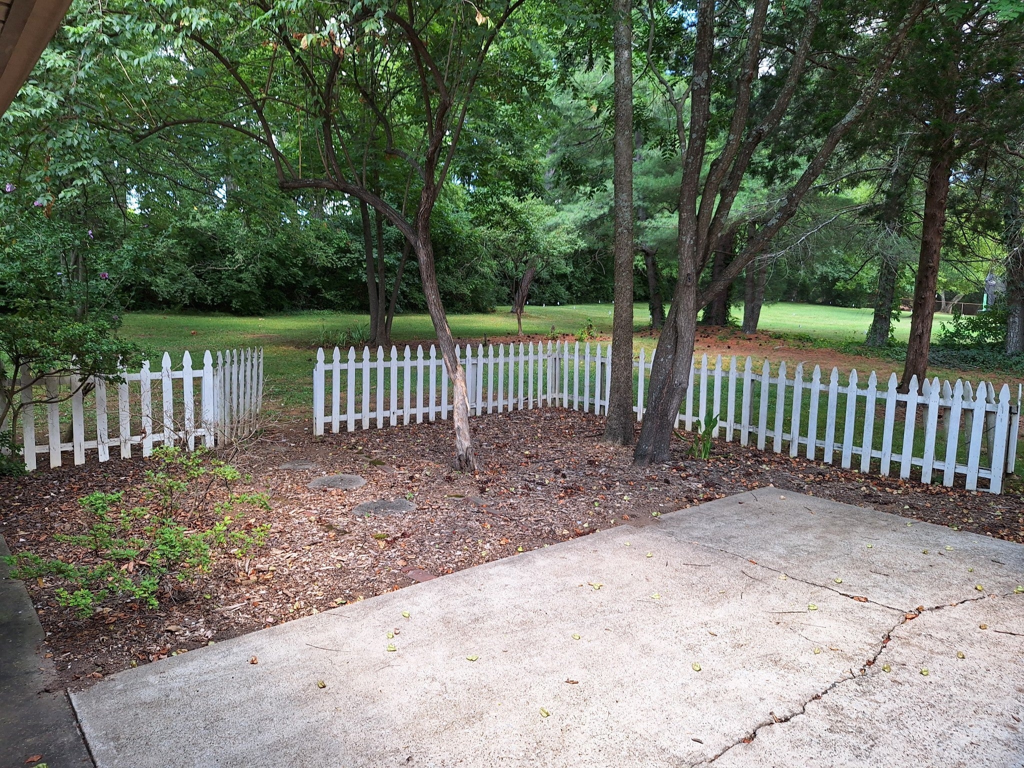 9012 Forest Lawn Drive