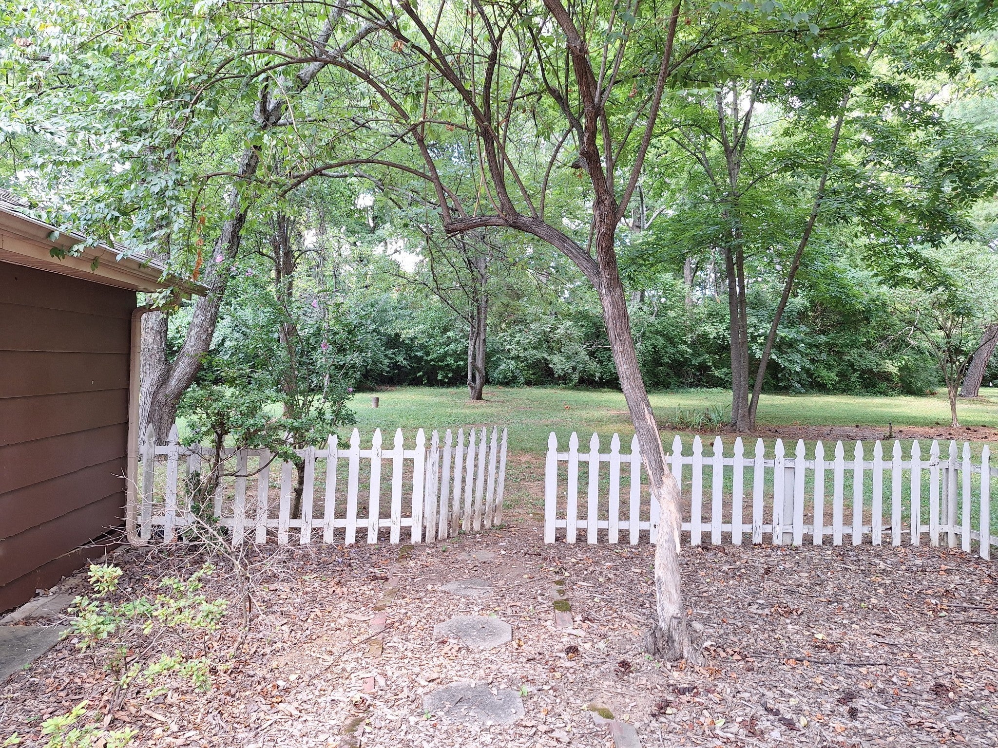 9012 Forest Lawn Drive