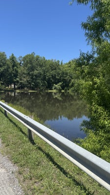 LAKEWOOD DR, BEECHGROVE, TN 37018 - Image 5ec6ac0a406c330cce14dc3b8a87673e/163528551