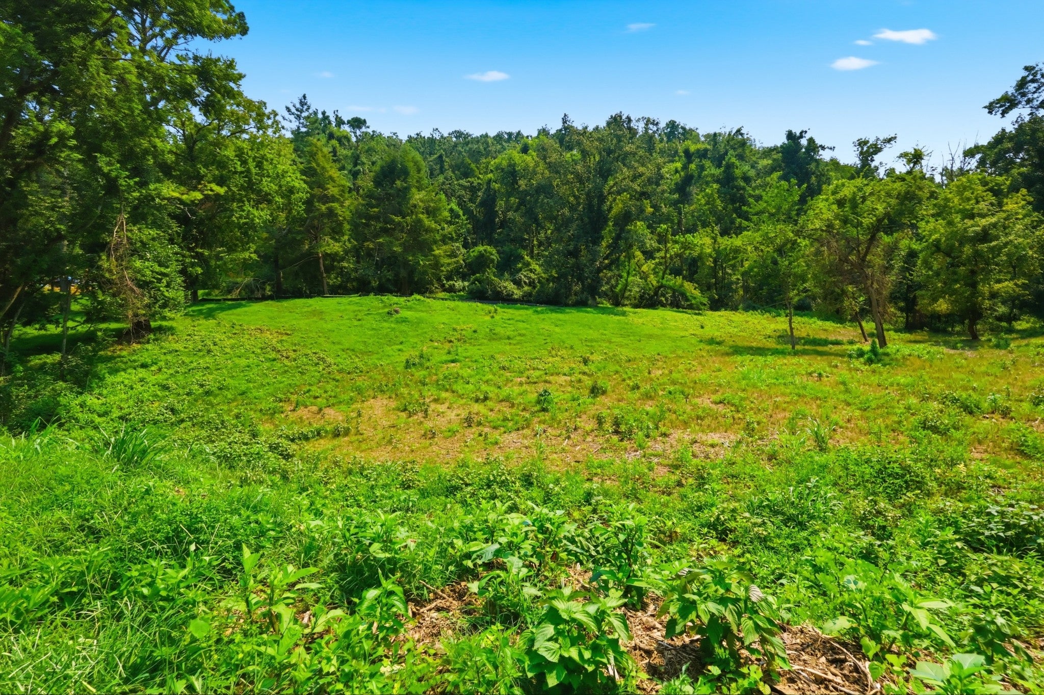 listing at 1045 Balmoral Dr, Nashville