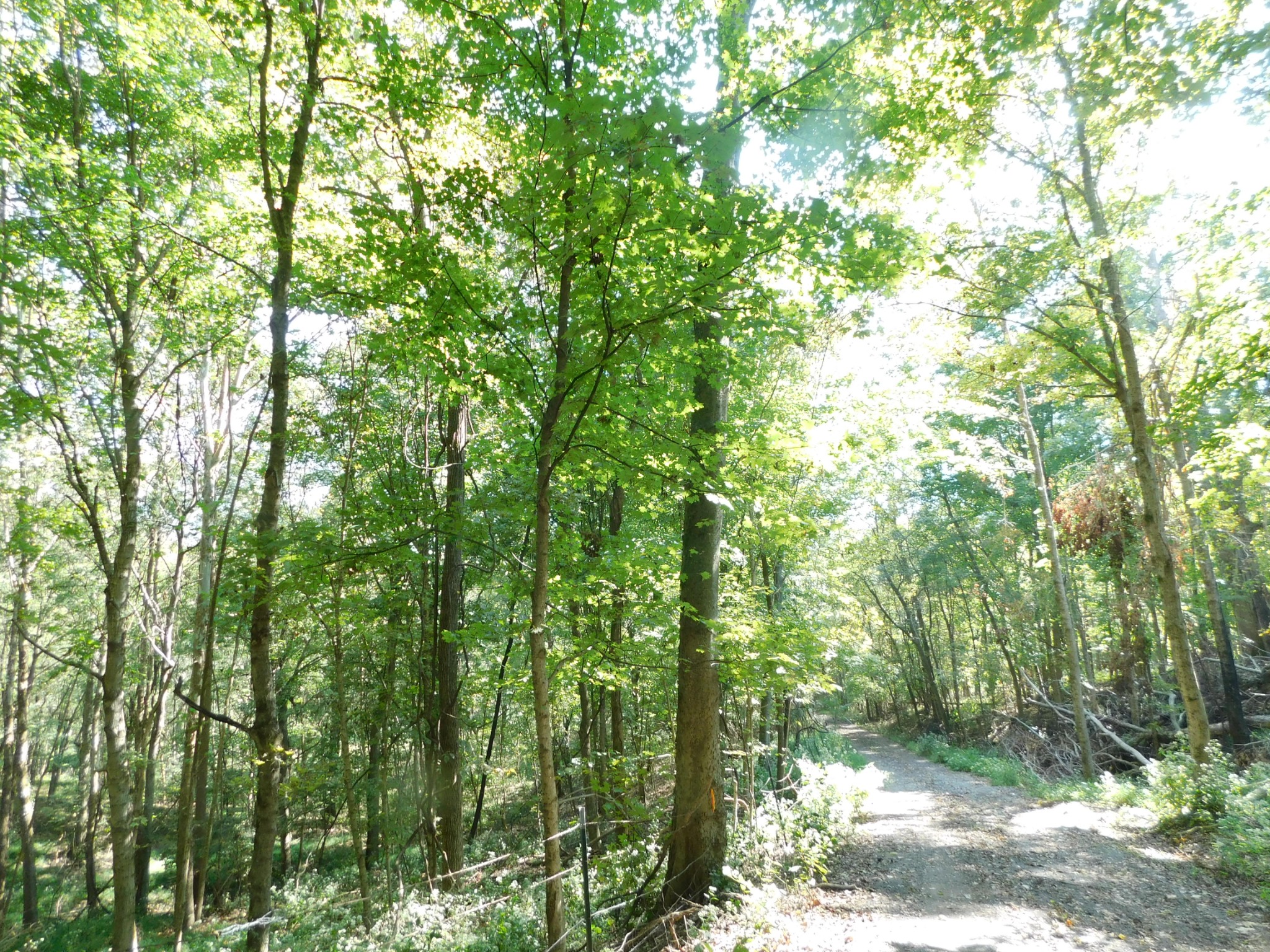 1101B HIDDEN COVE ROAD