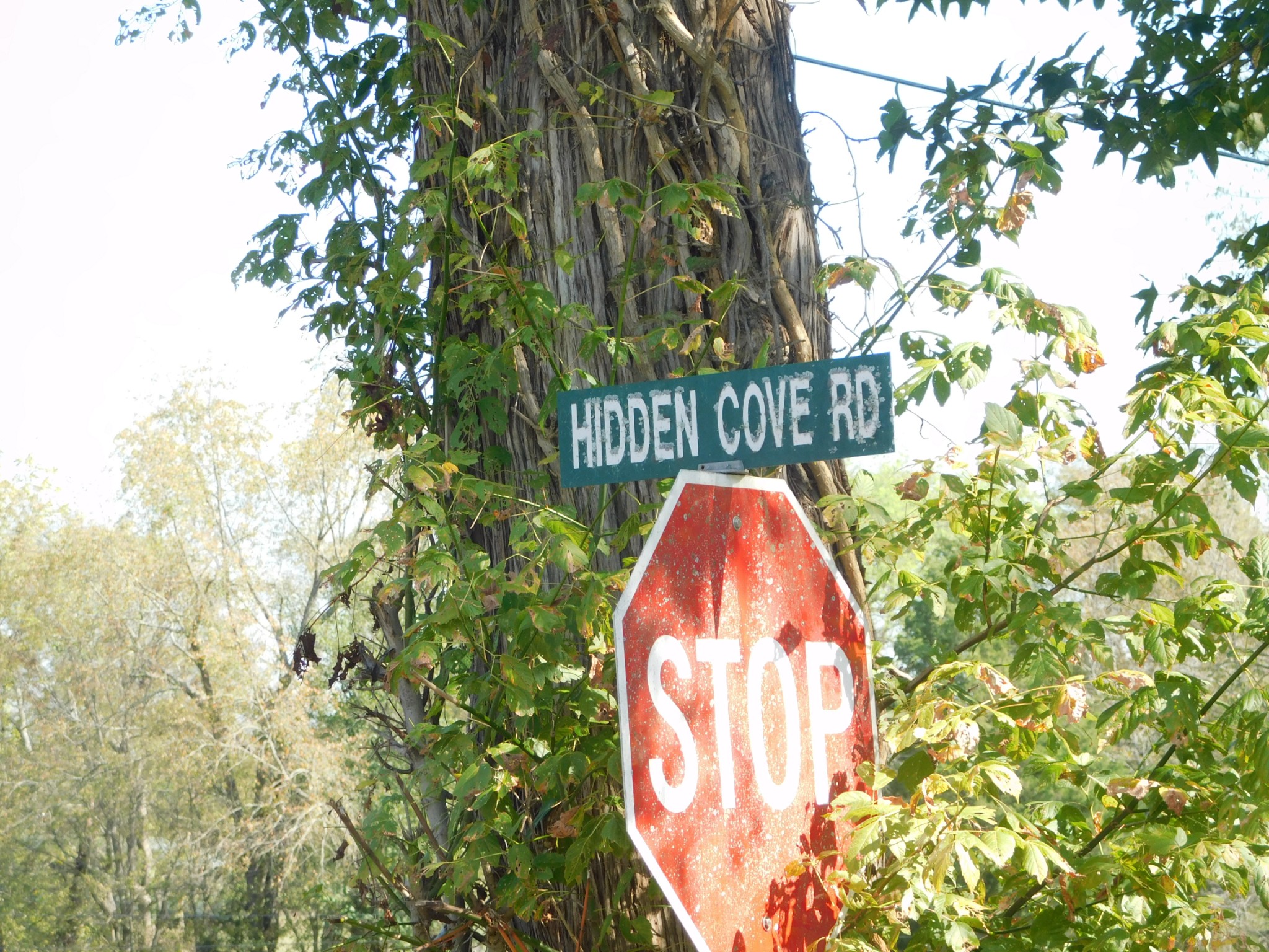 1101B HIDDEN COVE ROAD