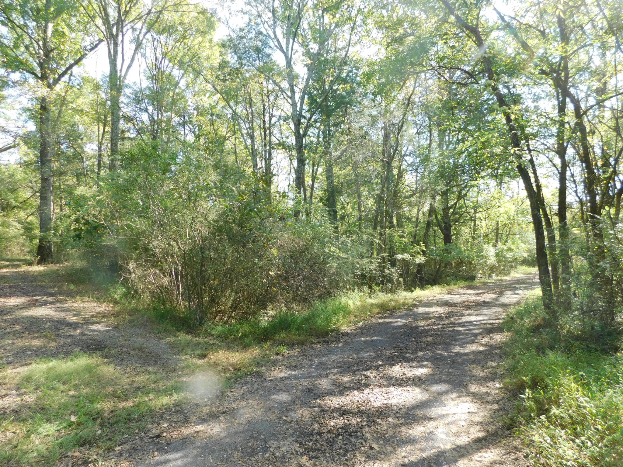1101B HIDDEN COVE ROAD