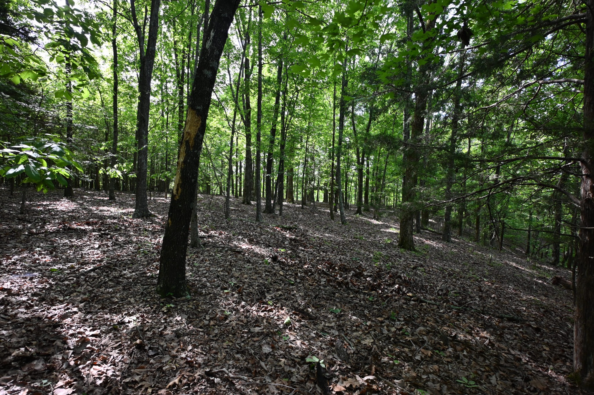 0 Lick Creek Rd