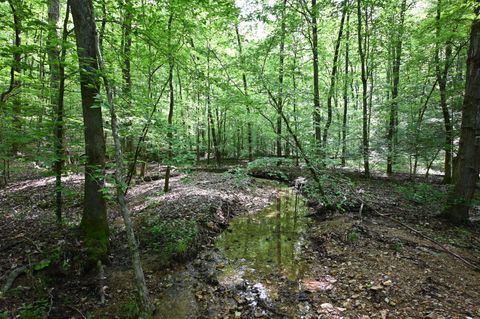 0 Lick Creek Rd Linden TN 37096