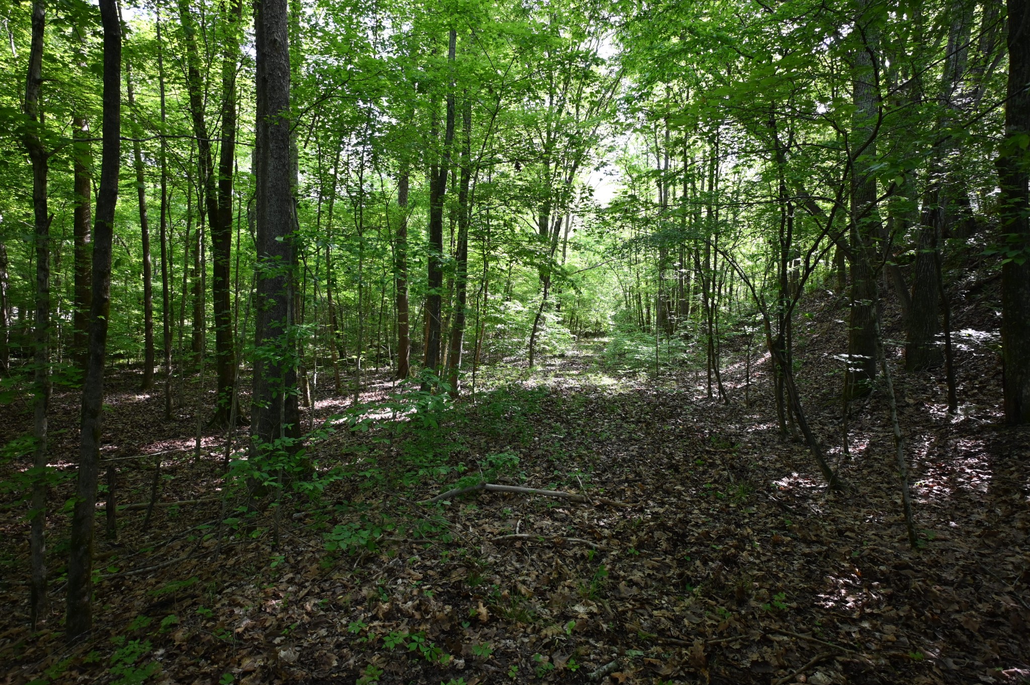 0 Lick Creek Rd