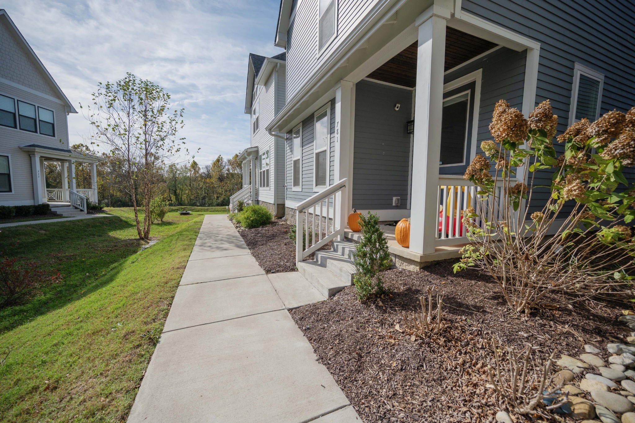 781 Mill Creek Meadow Dr