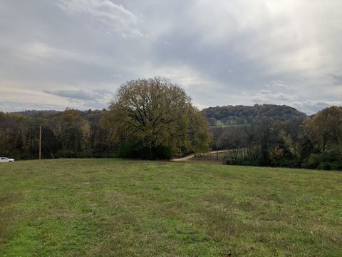 7 Booker Ridge RD Mount Pleasant TN 38474