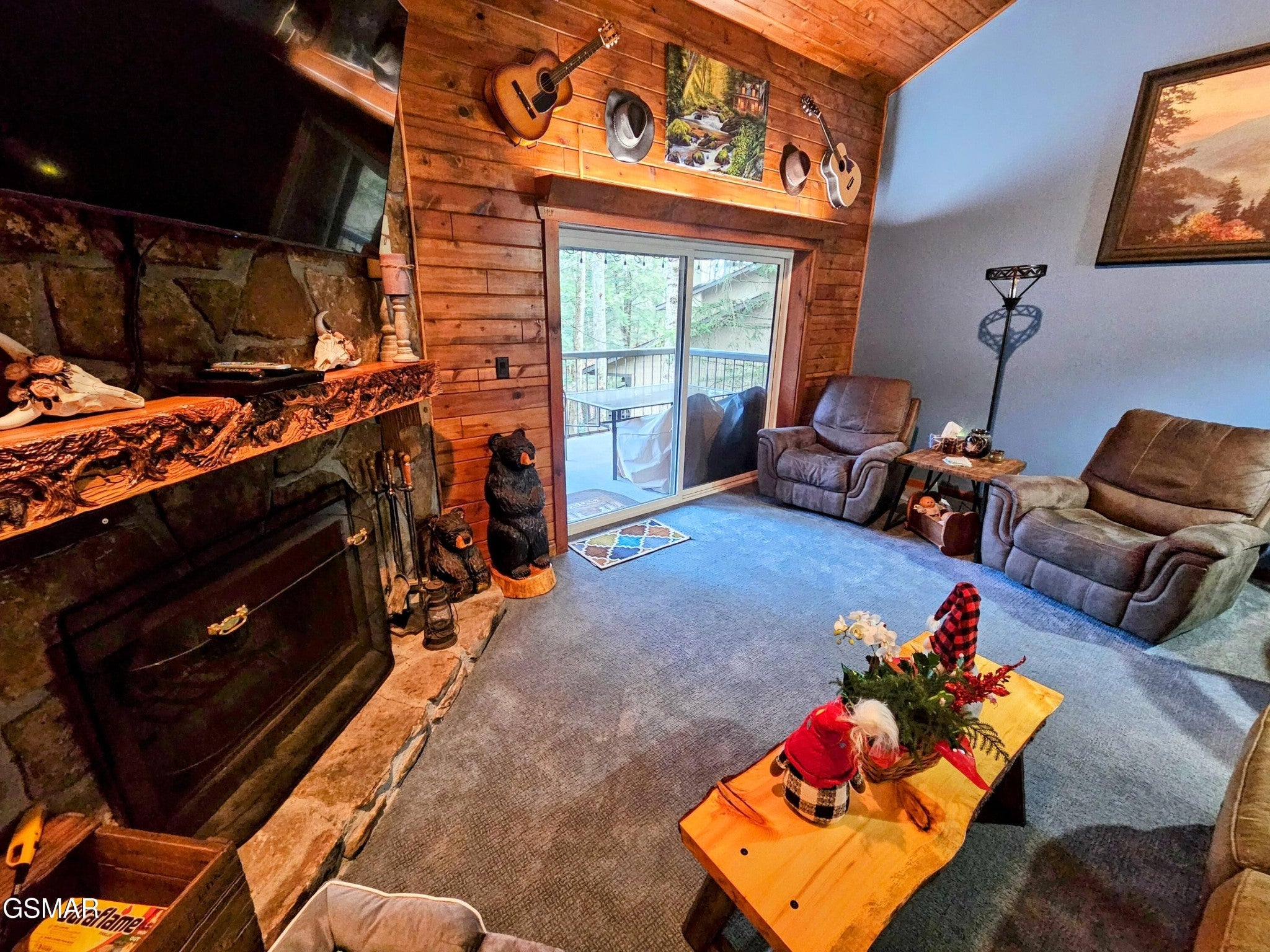 1235 Ski Mountain Road 619