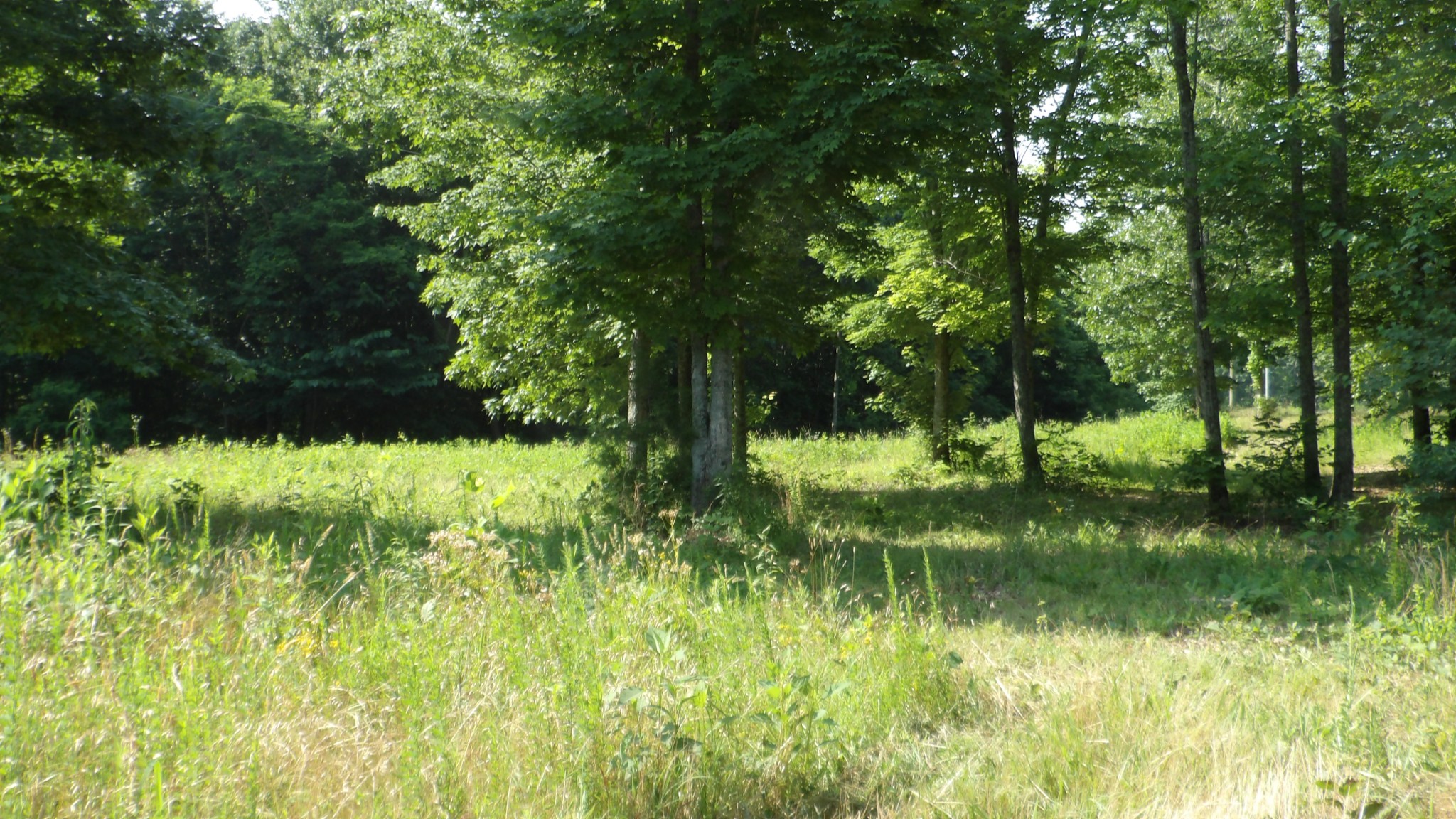0 Pleasant Cemetery Lane