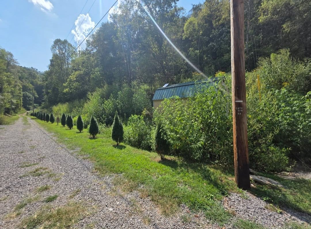 122 Jim Hollow Rd