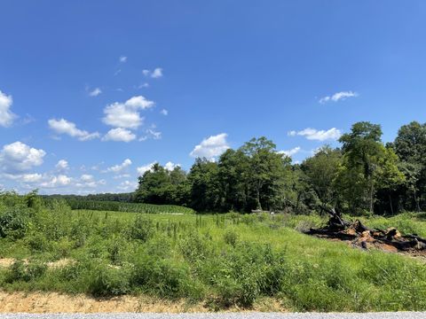 0 Hidden Hills Lane Summertown TN 38483