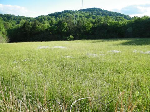 4 Sleepy Hollow Road Hartsville TN 37074