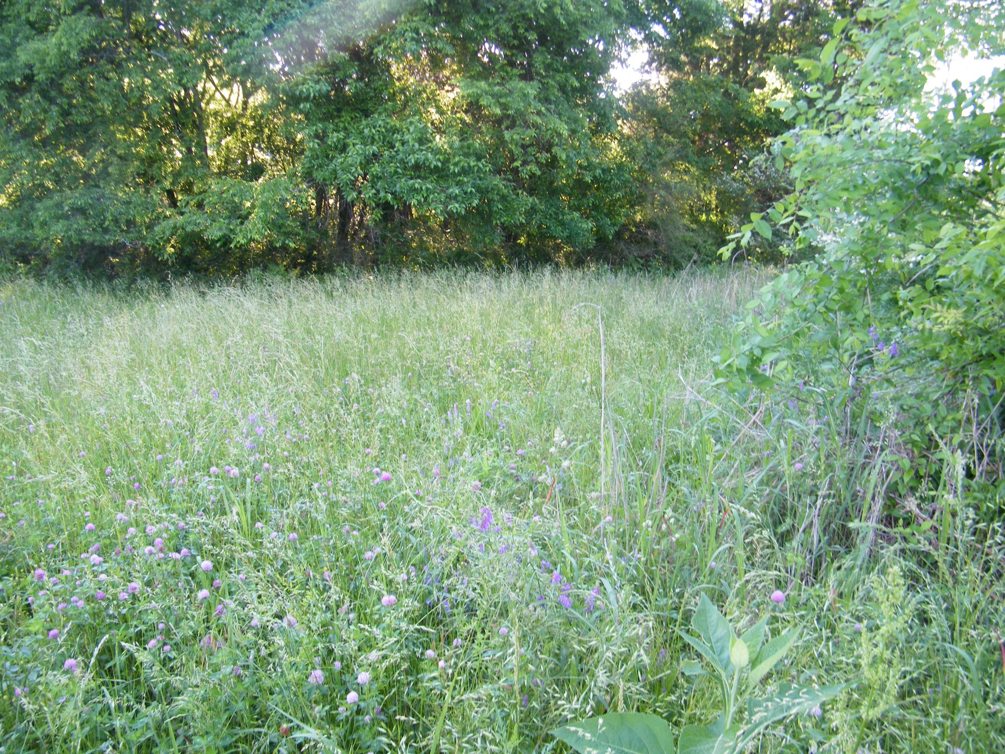 4 Sleepy Hollow Road