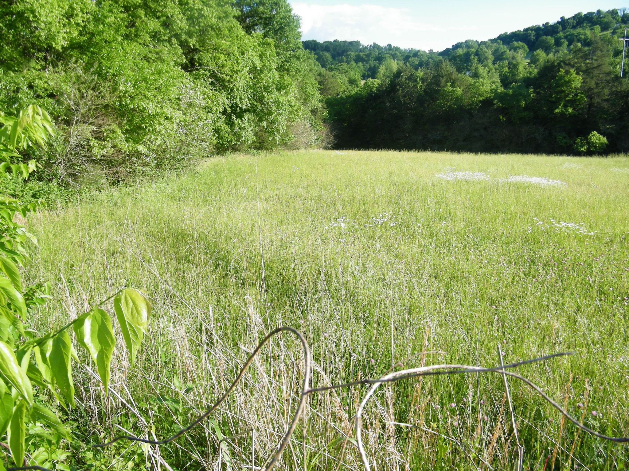 4 Sleepy Hollow Road