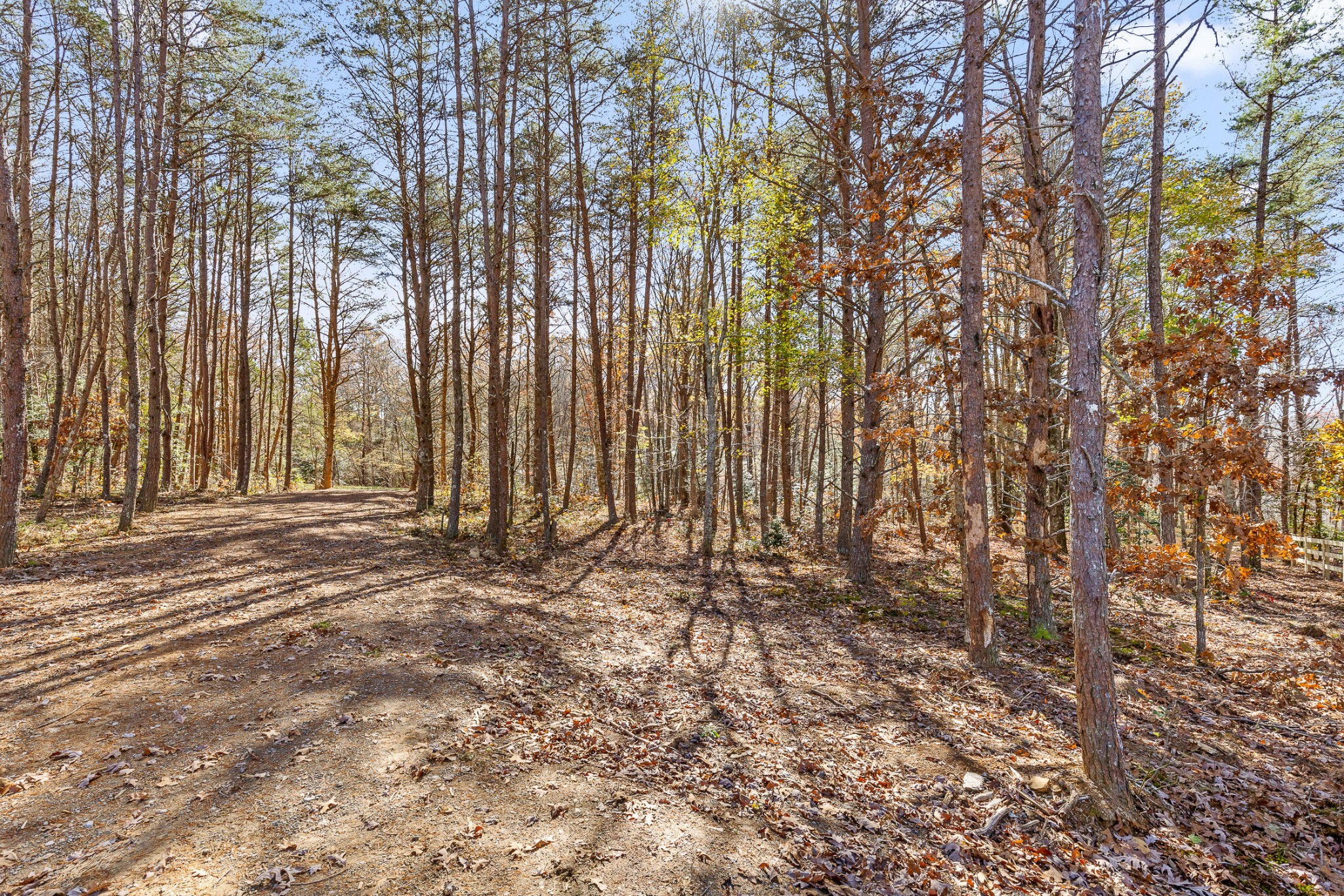 1805 Vandergriff Road