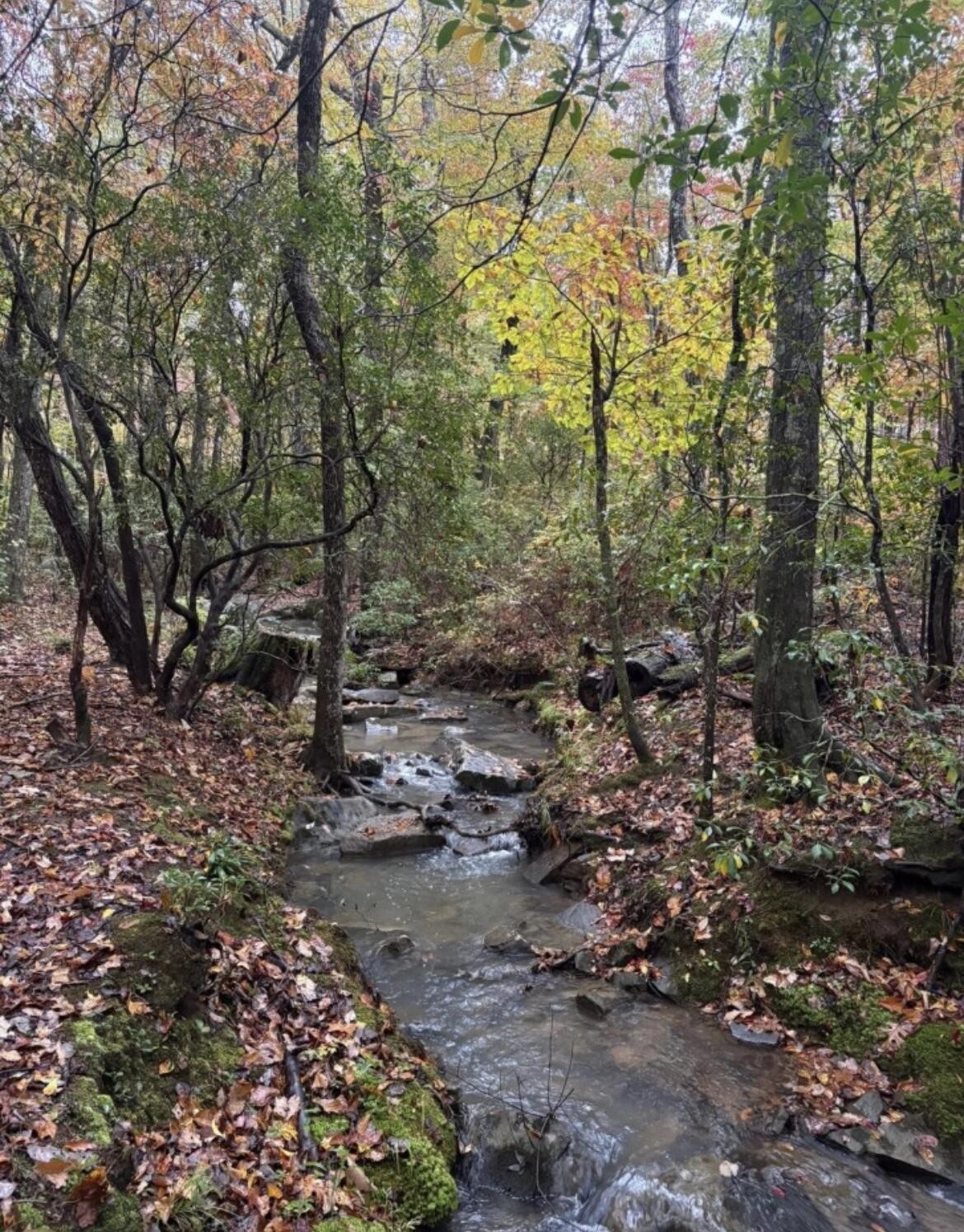 2795 Raulston Falls Road