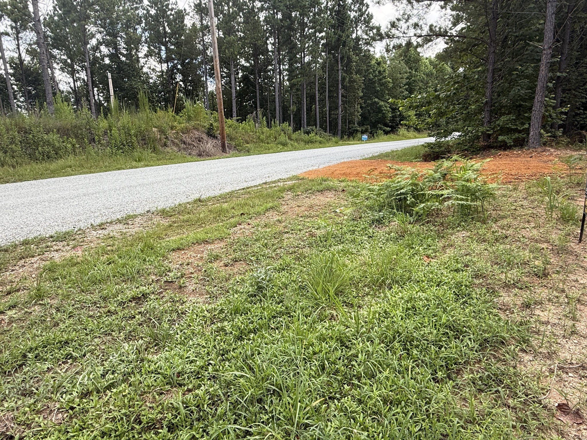 5608 Old Hohenwald rd