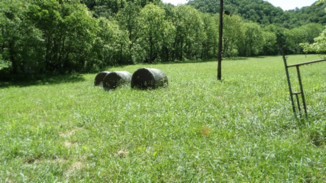 5155 Brimstone Creek Rd