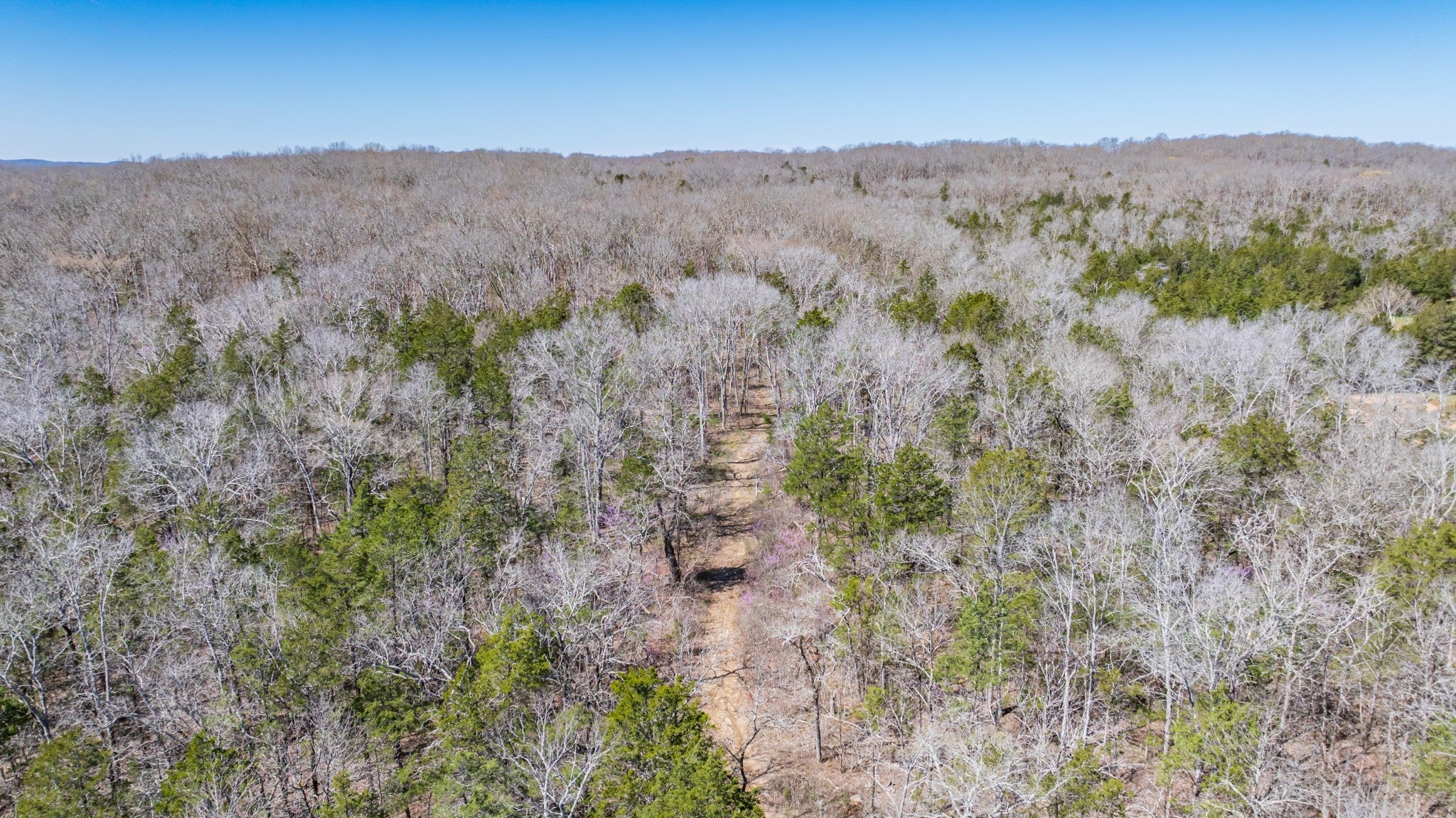 3562 Highway 431