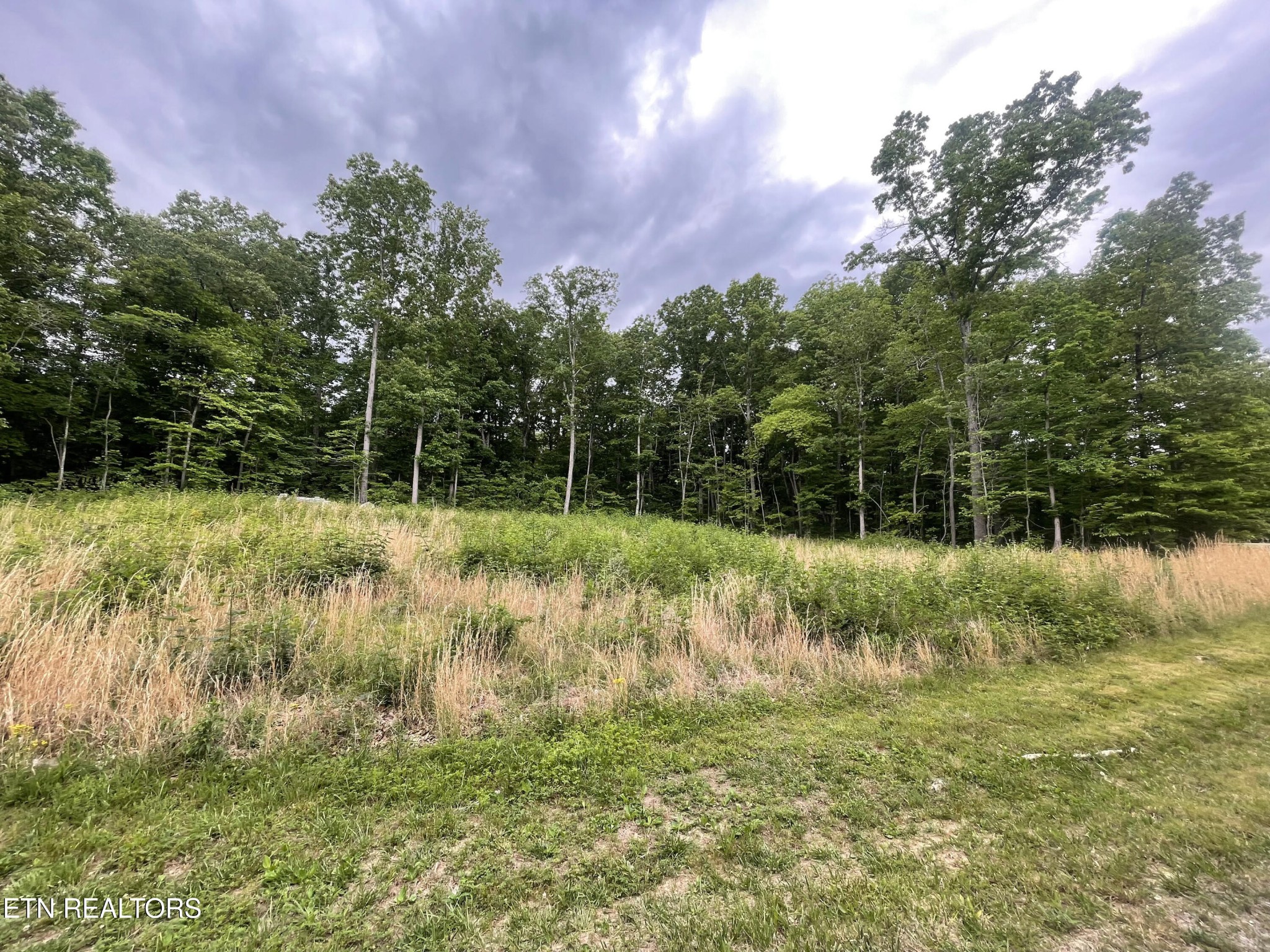 0 Willow Ridge Drive
