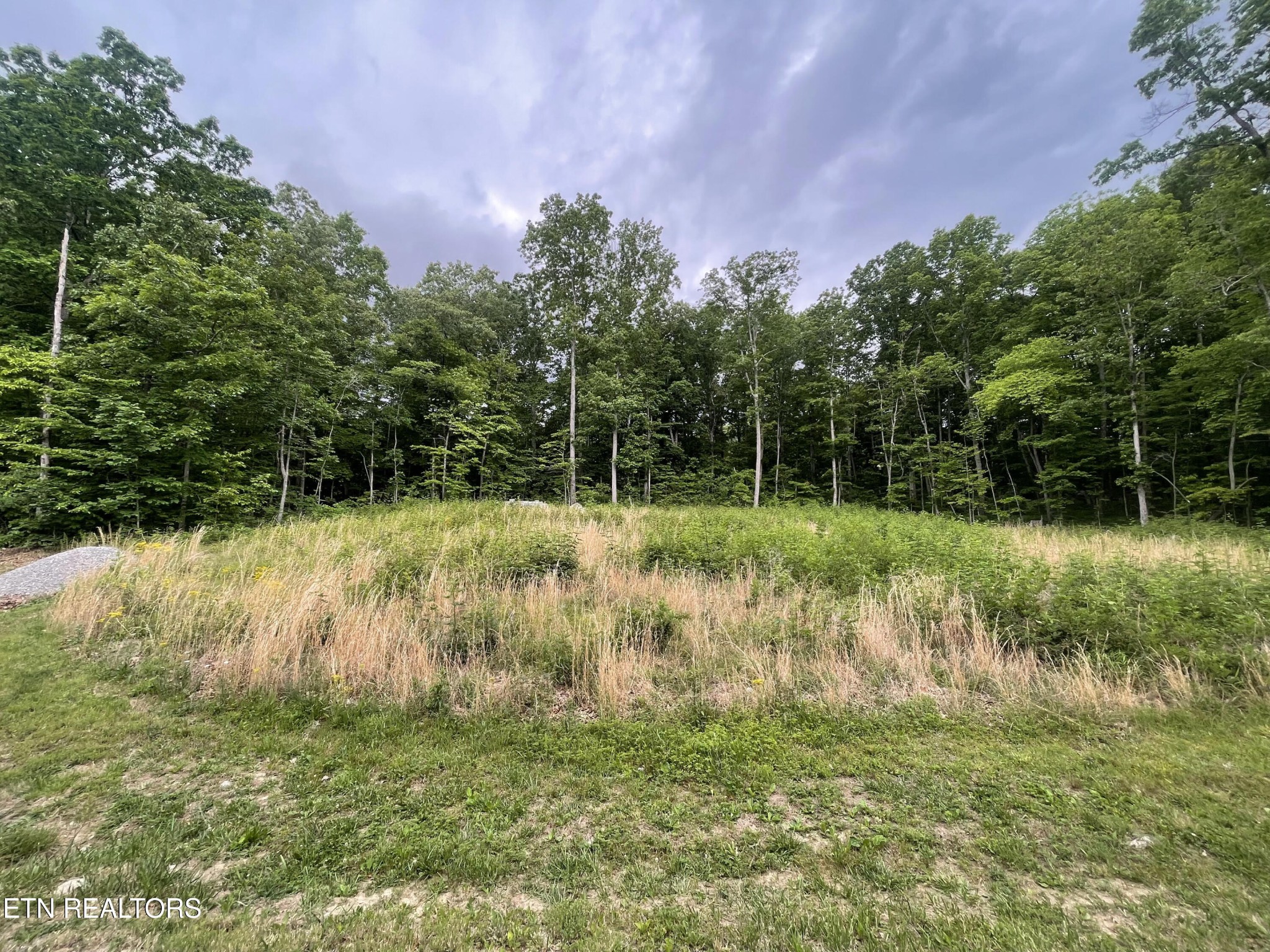 0 Willow Ridge Drive