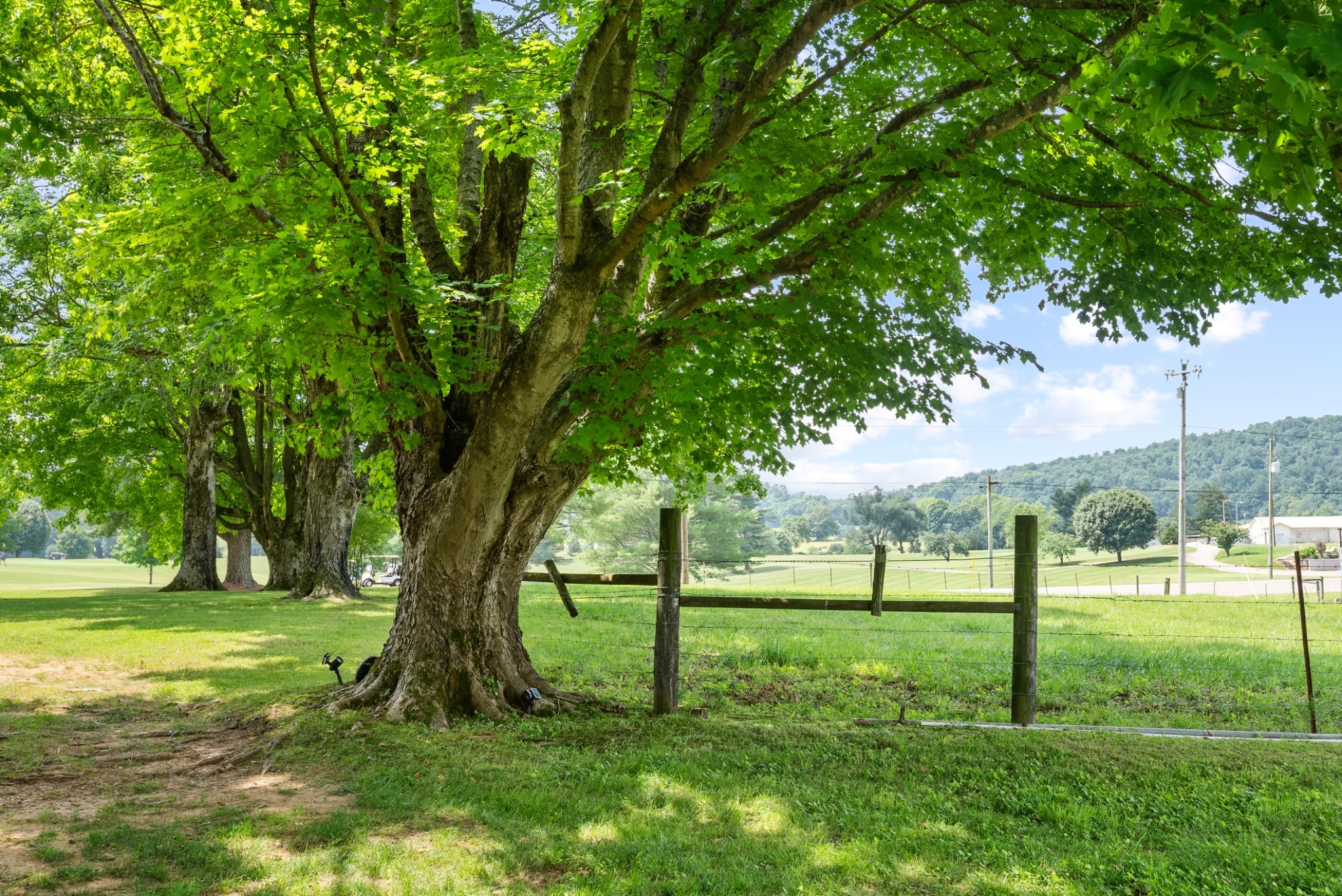 1364 Country Club Rd