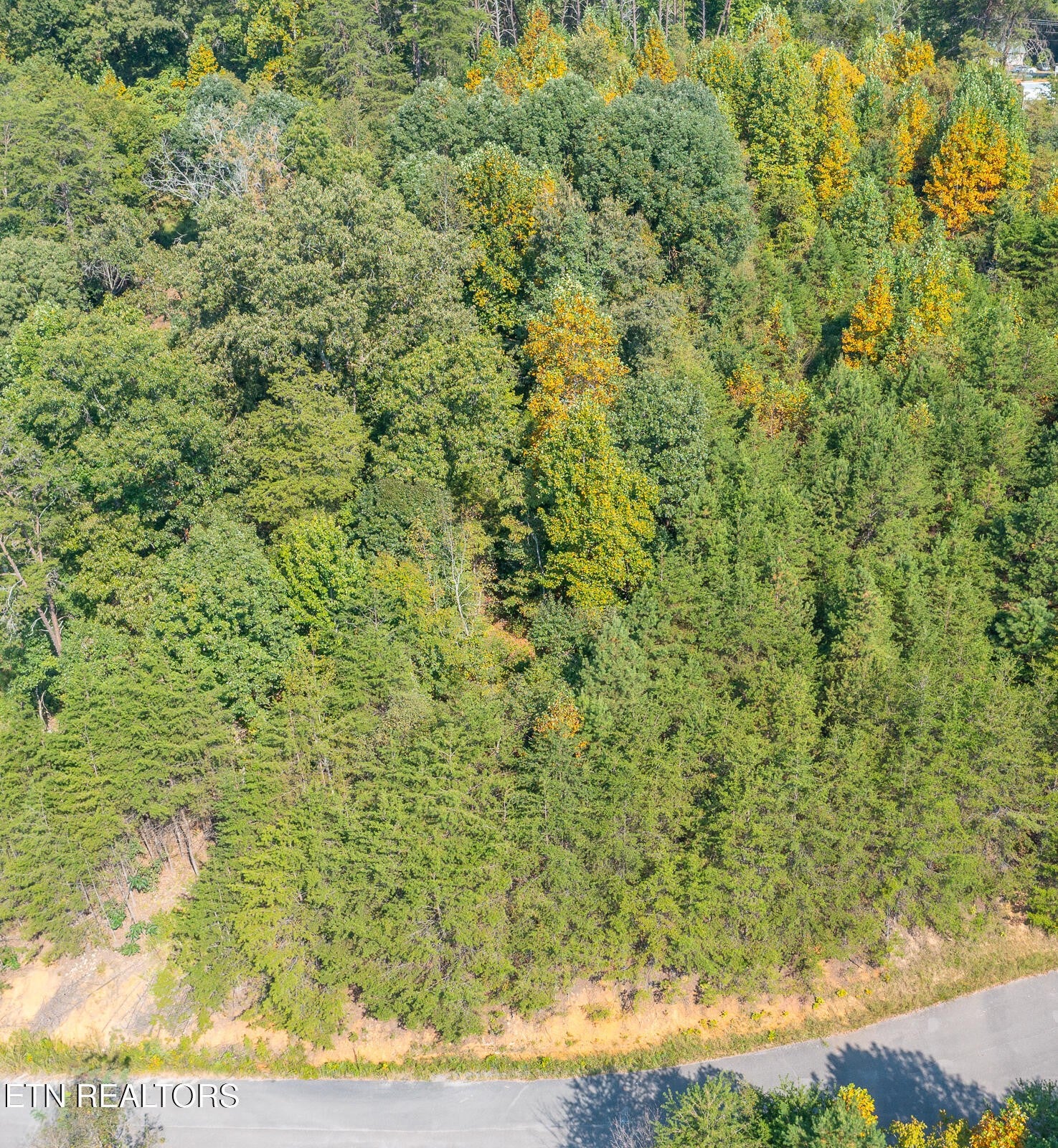 742 White Dogwood Drive