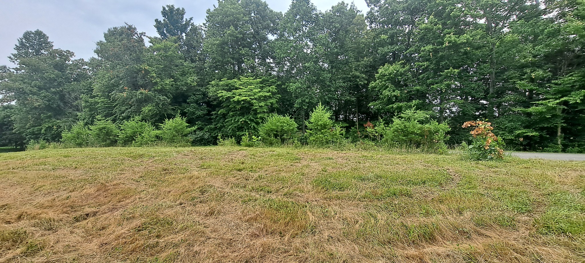 0 Gaddie Cemetery Road