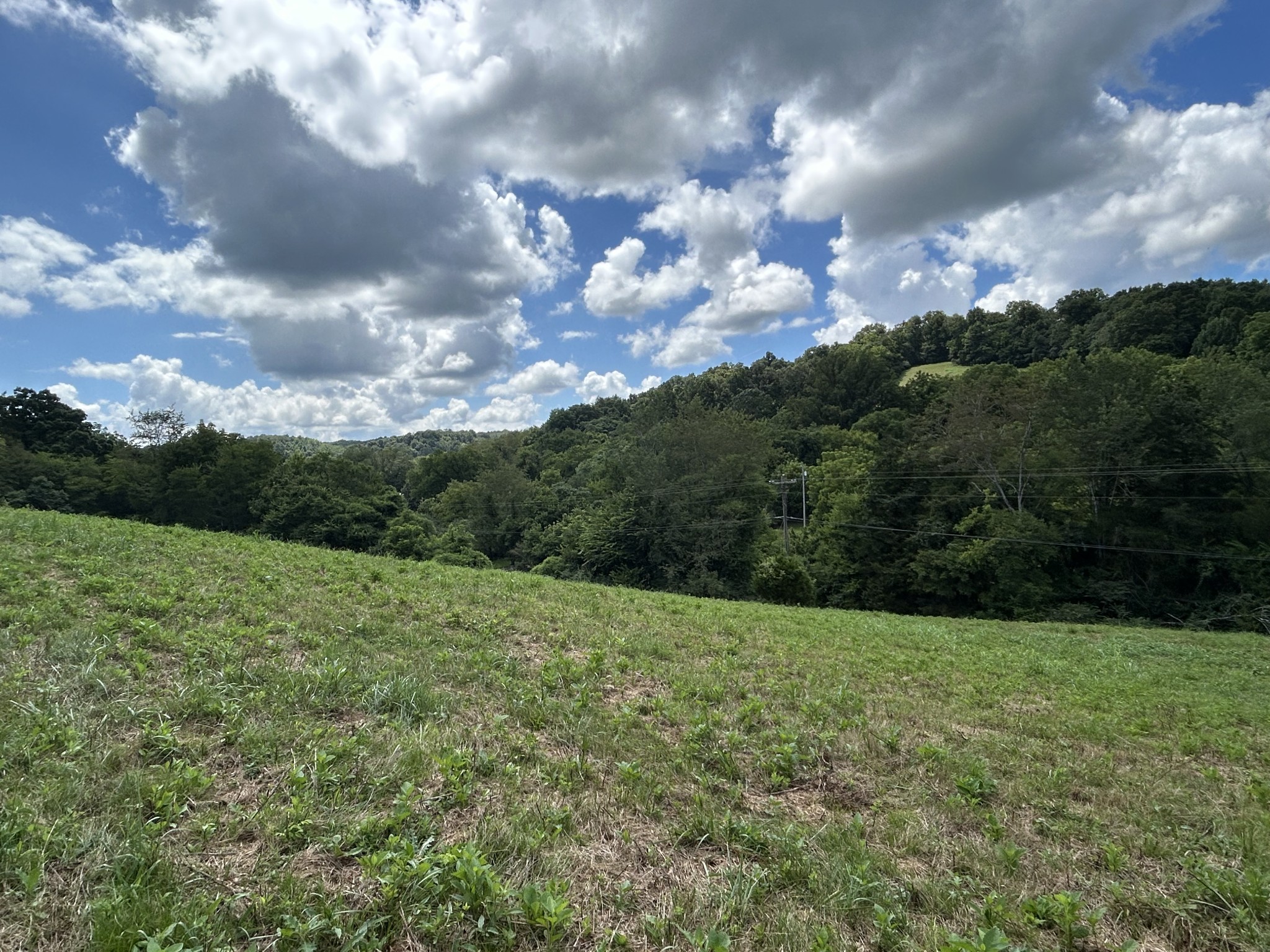 1 Chicken Creek Rd