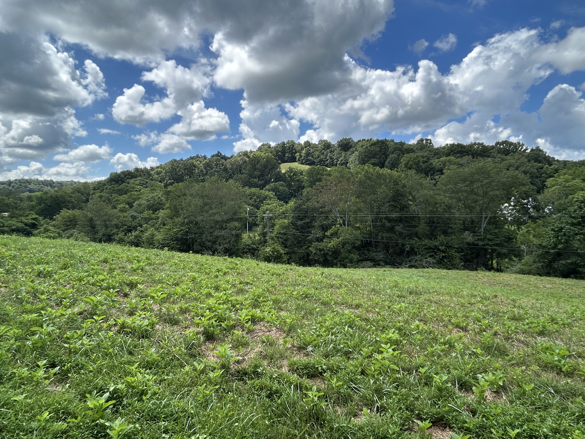 1 Chicken Creek Rd