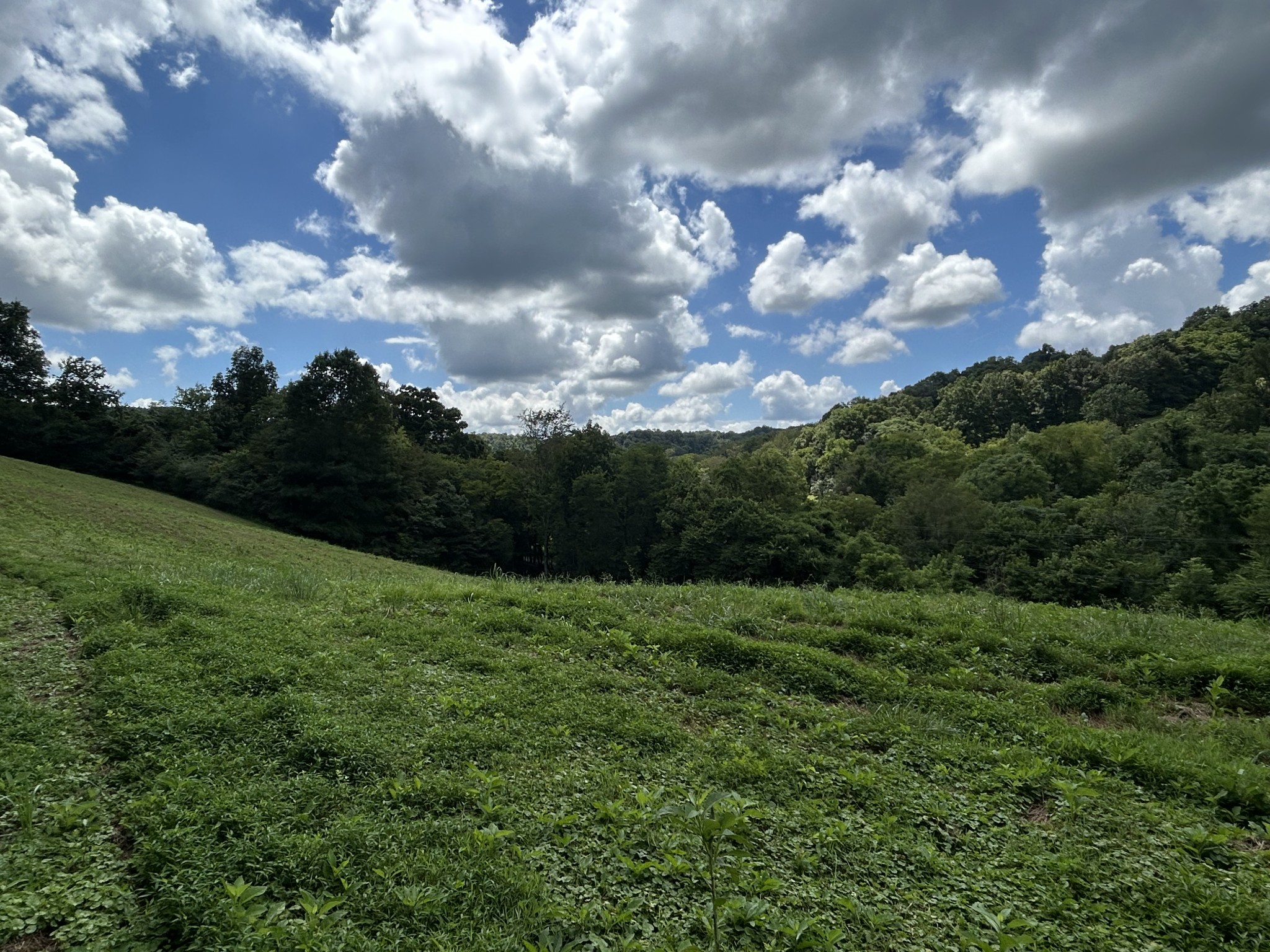 1 Chicken Creek Rd