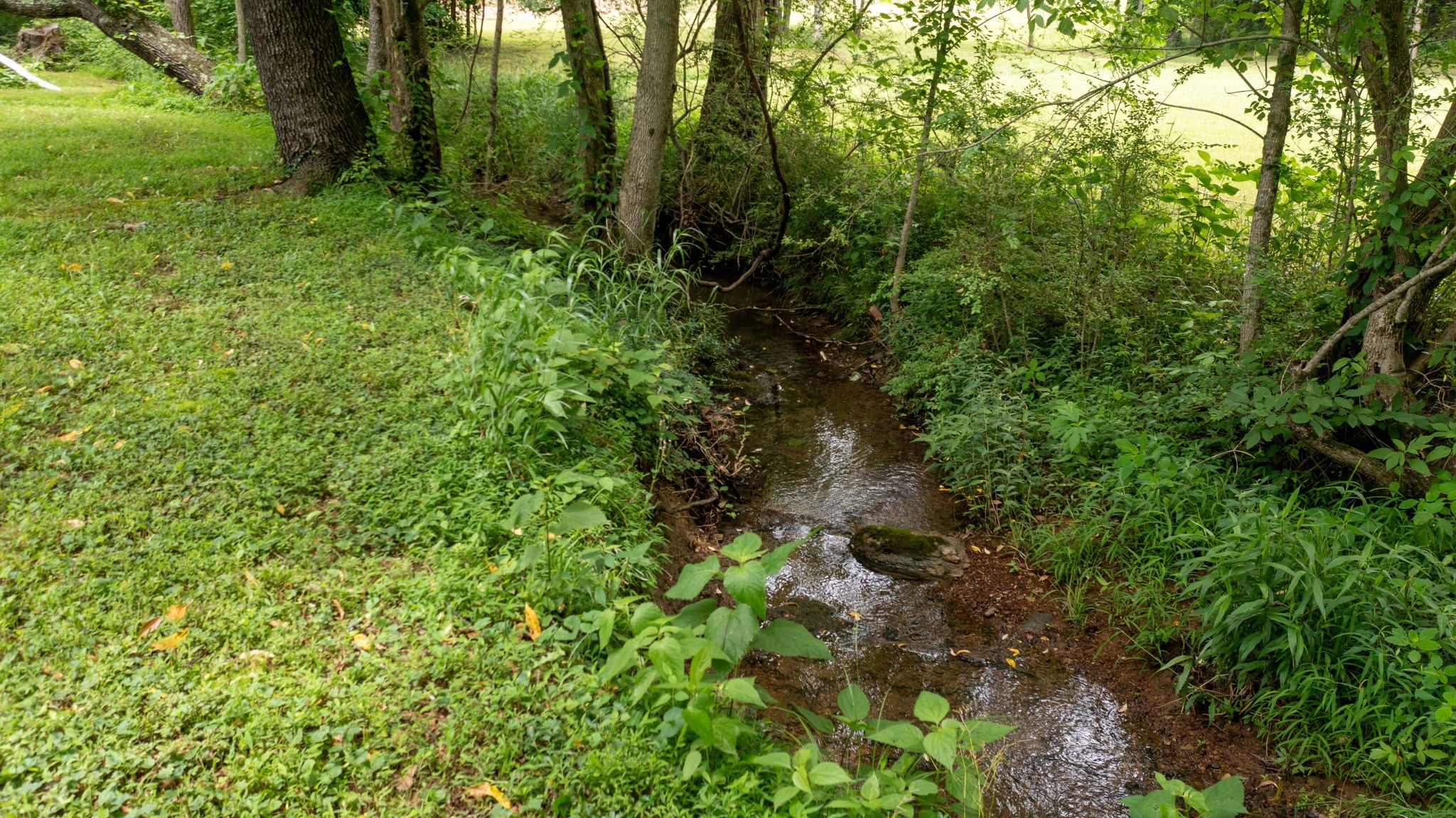 4648 31 Hwy W