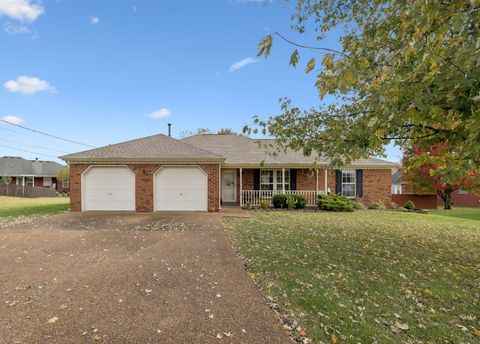 3102 Pewitt Cir Smyrna TN 37167