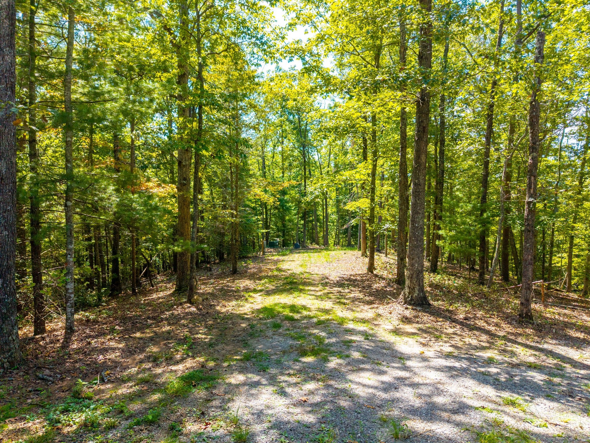 153 Pack Mountain Rd