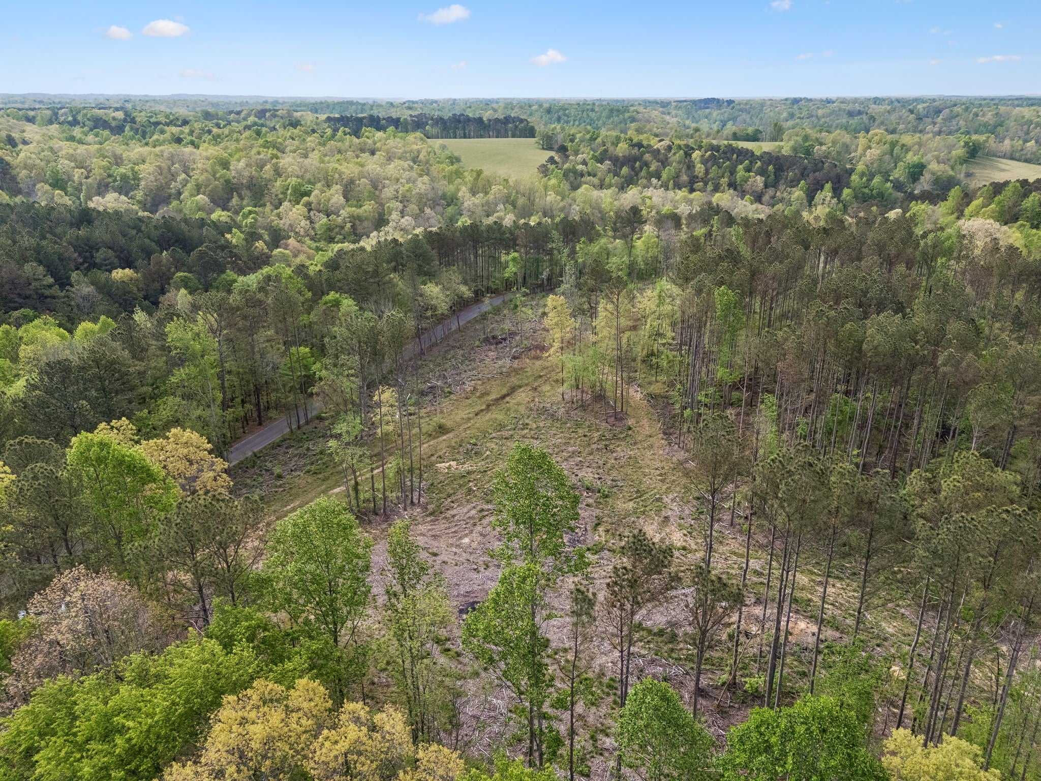 1 Pleasant Ridge Rd