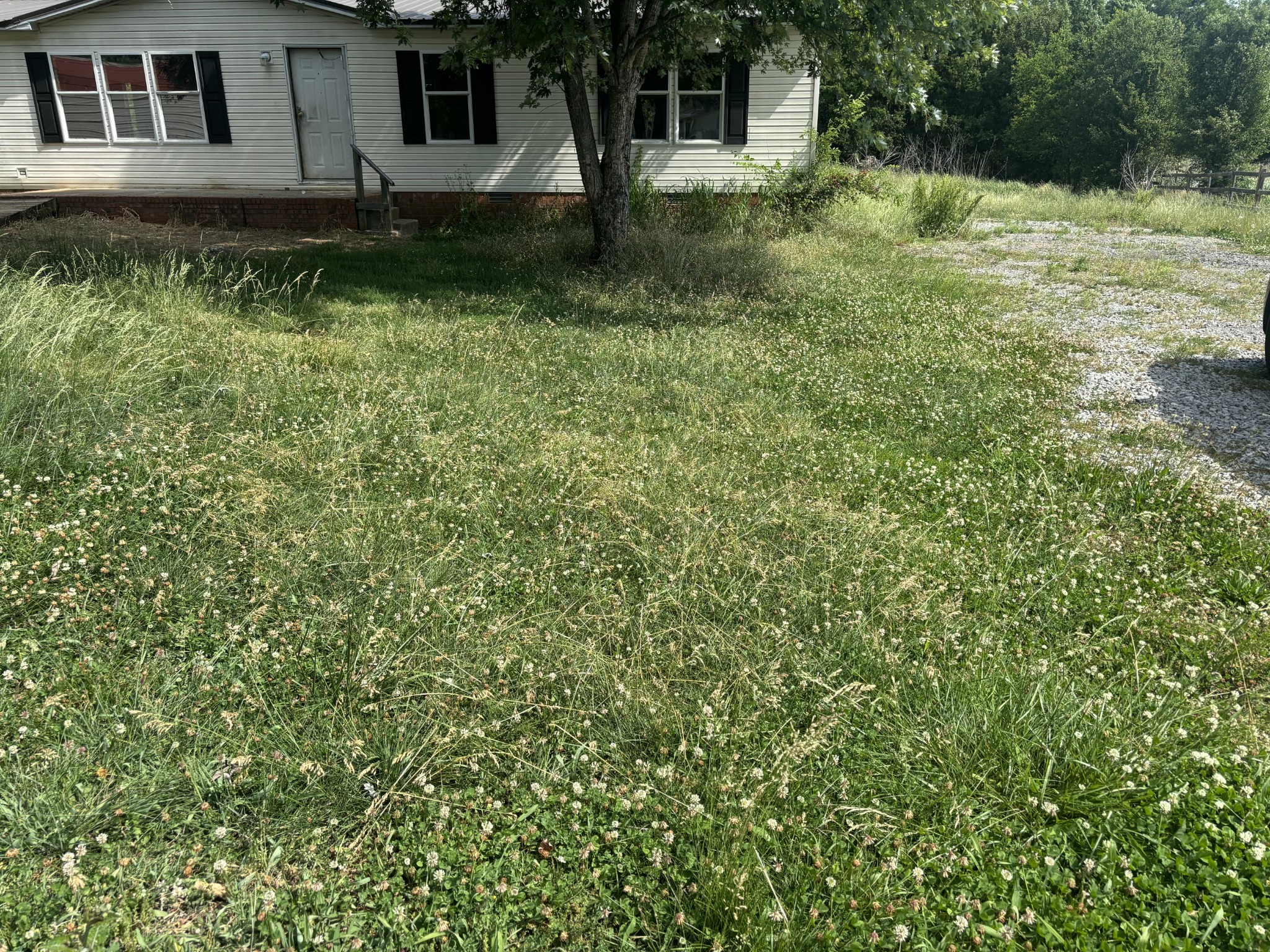 107 Elton Ct