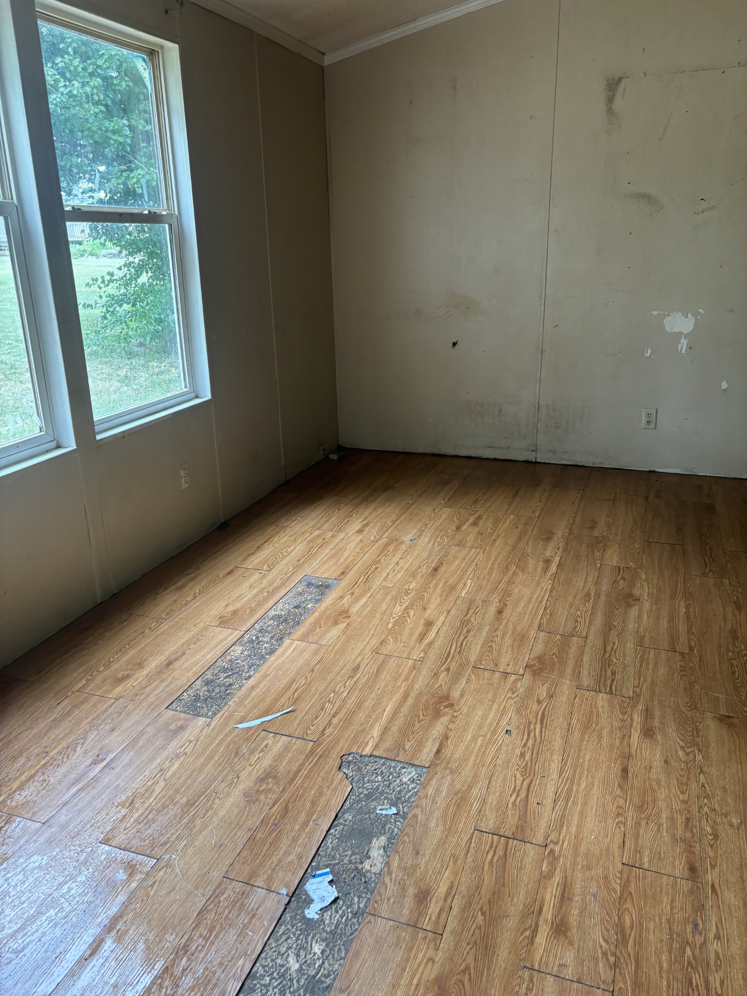 107 Elton Ct