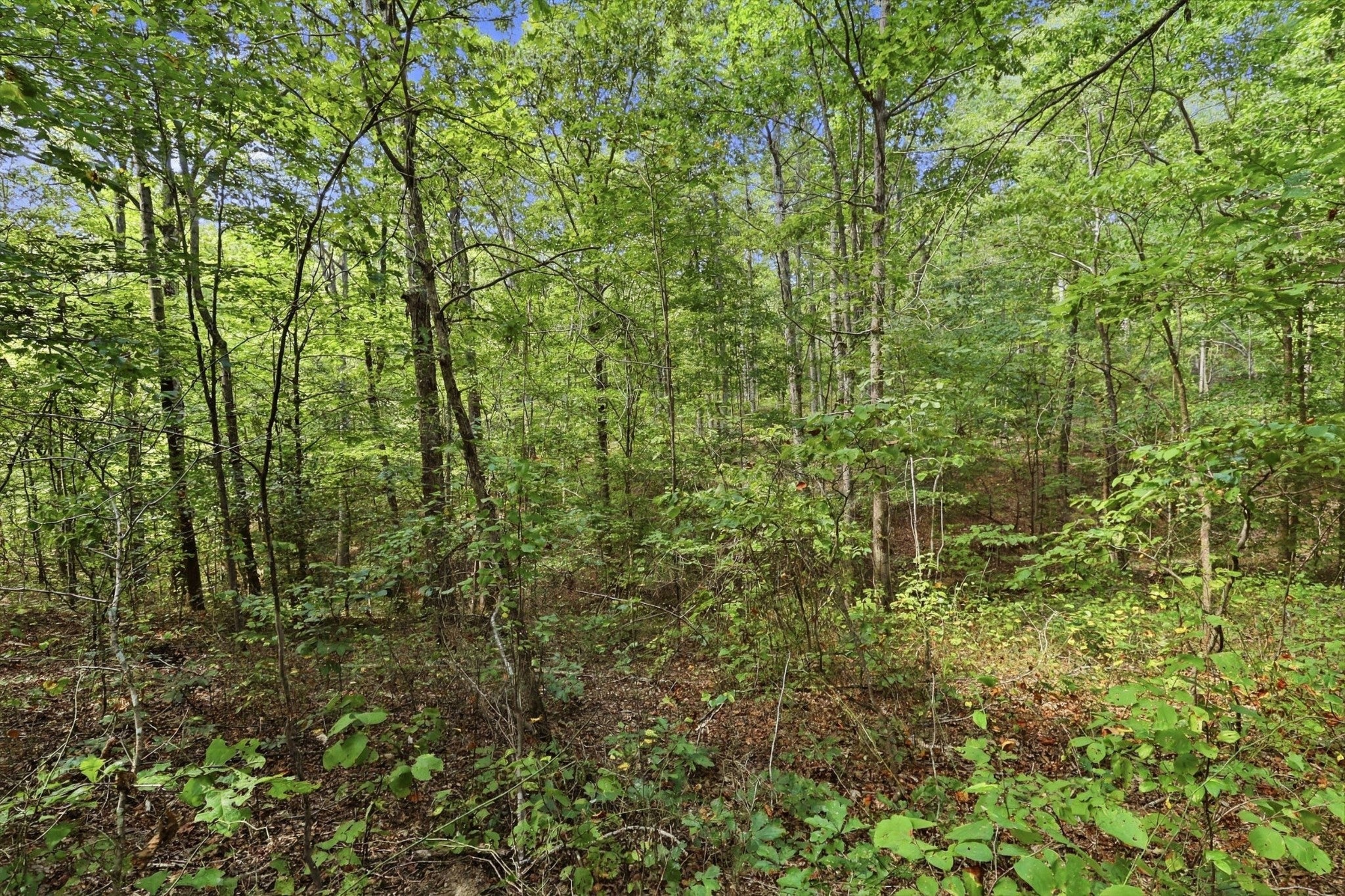 845 Ridgewood Drive