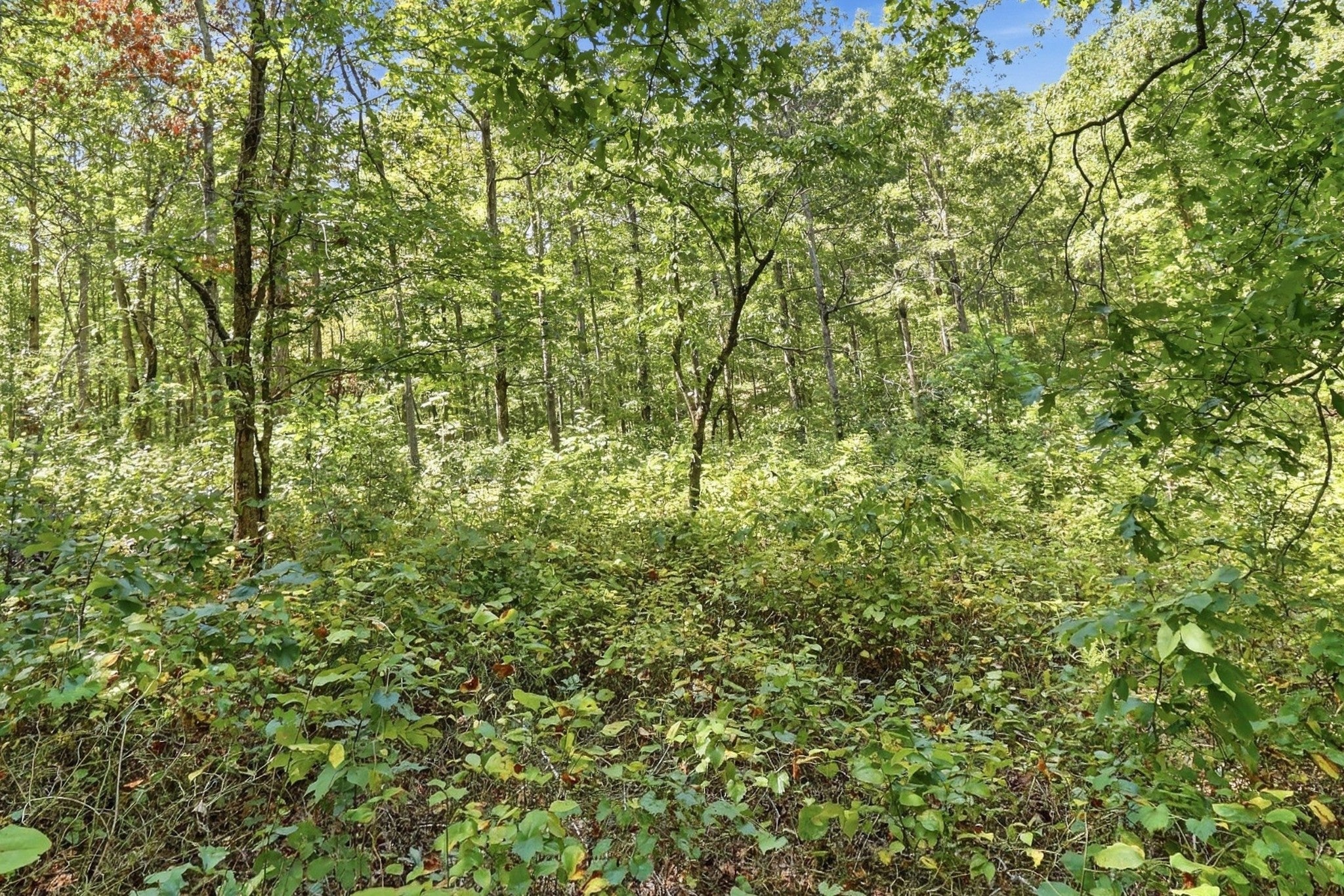 845 Ridgewood Drive