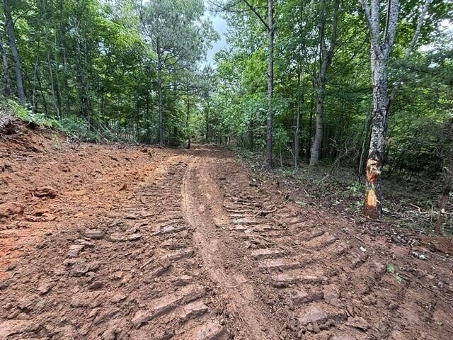 10811 S Pittsburg Mountain Road