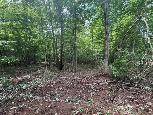 10811 S Pittsburg Mountain Road