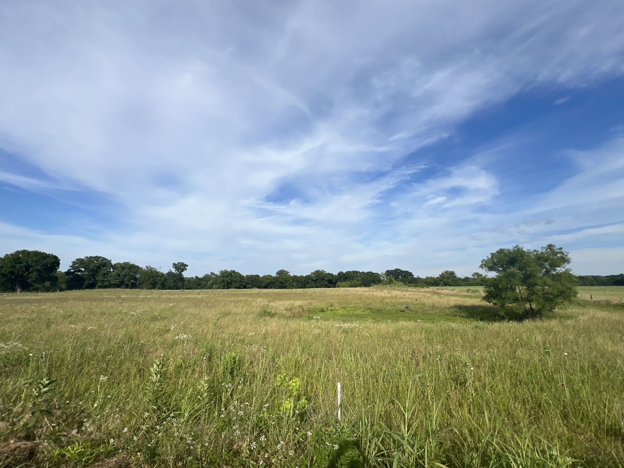 View Wartrace, TN 37183 land