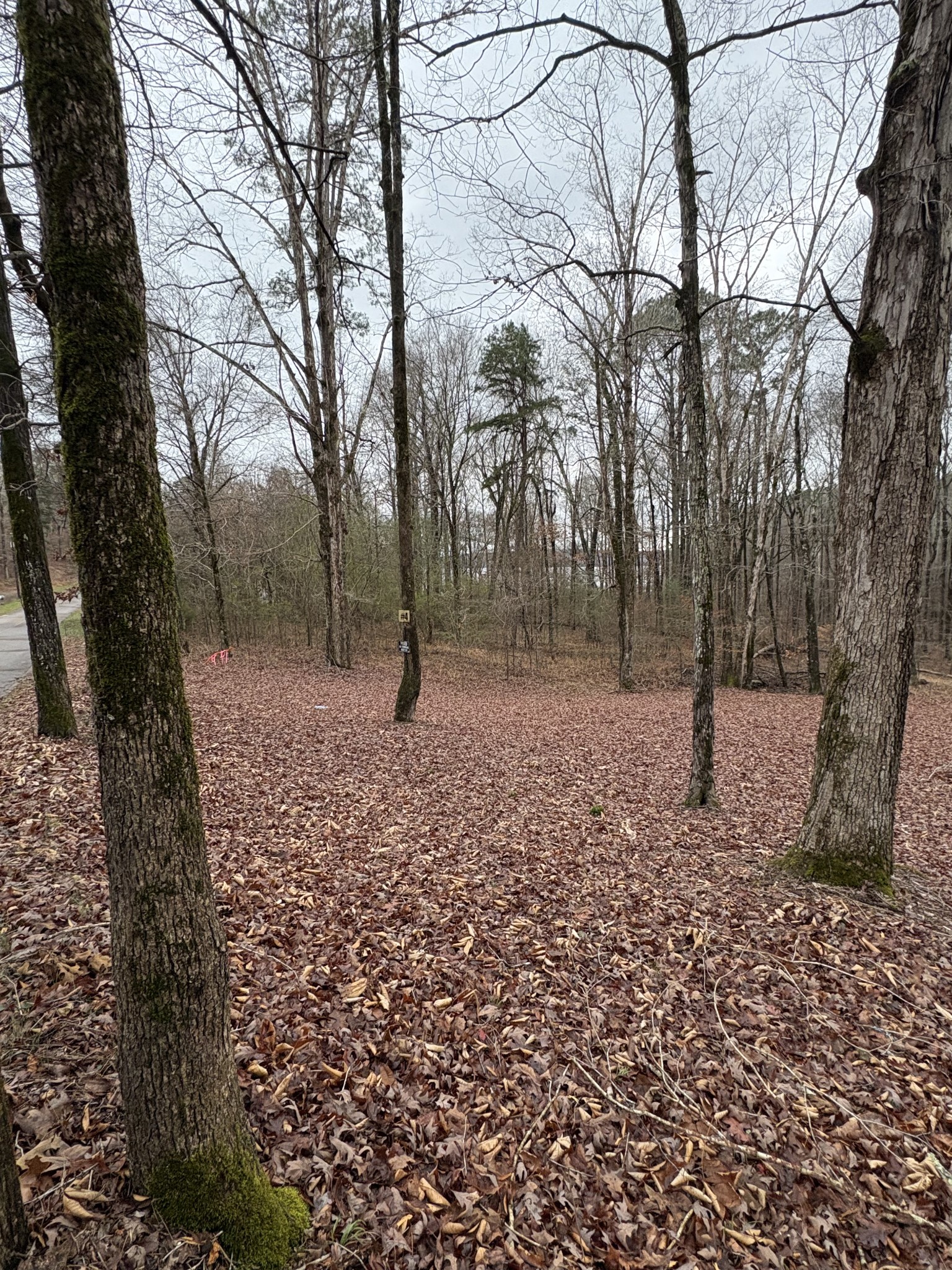 2160 Bruton Branch Rd