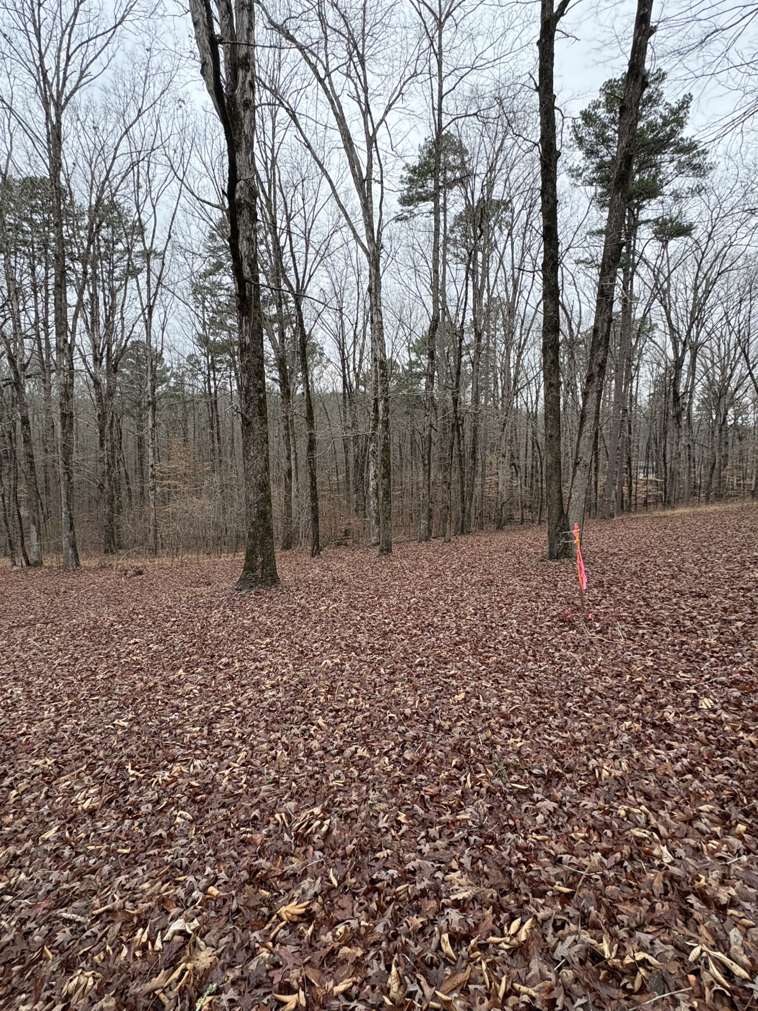 2160 Bruton Branch Rd