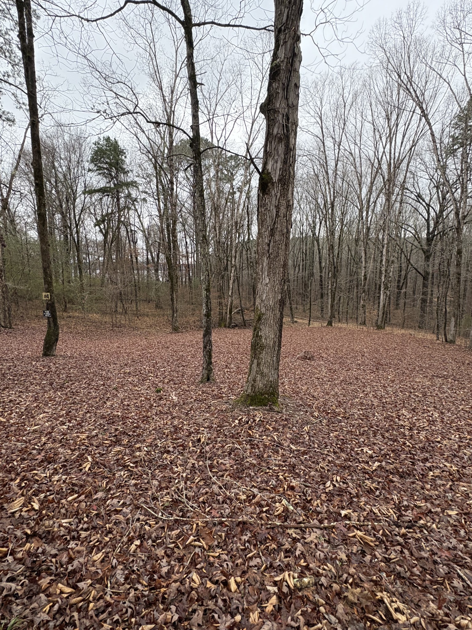 2160 Bruton Branch Rd