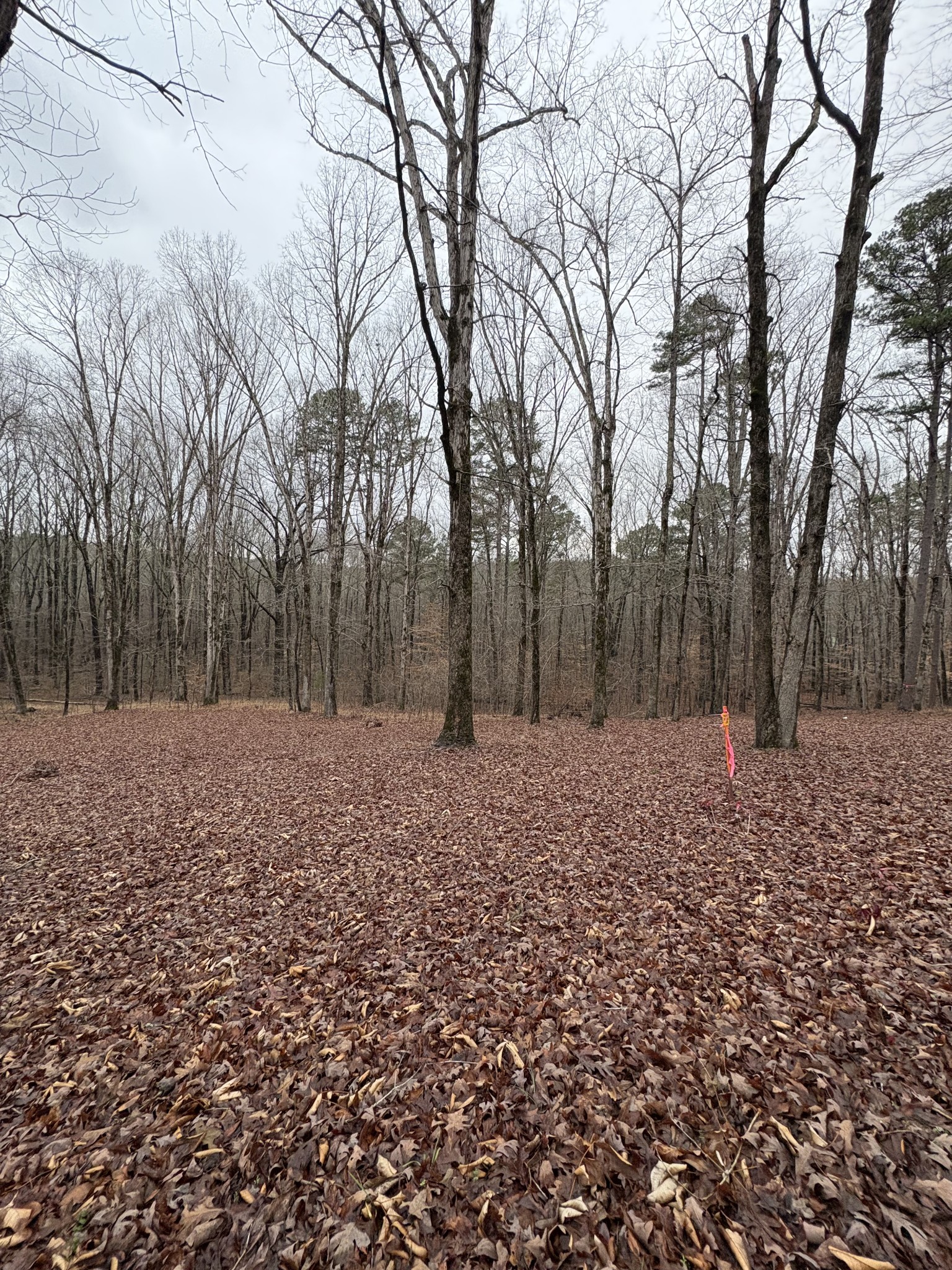 2160 Bruton Branch Rd